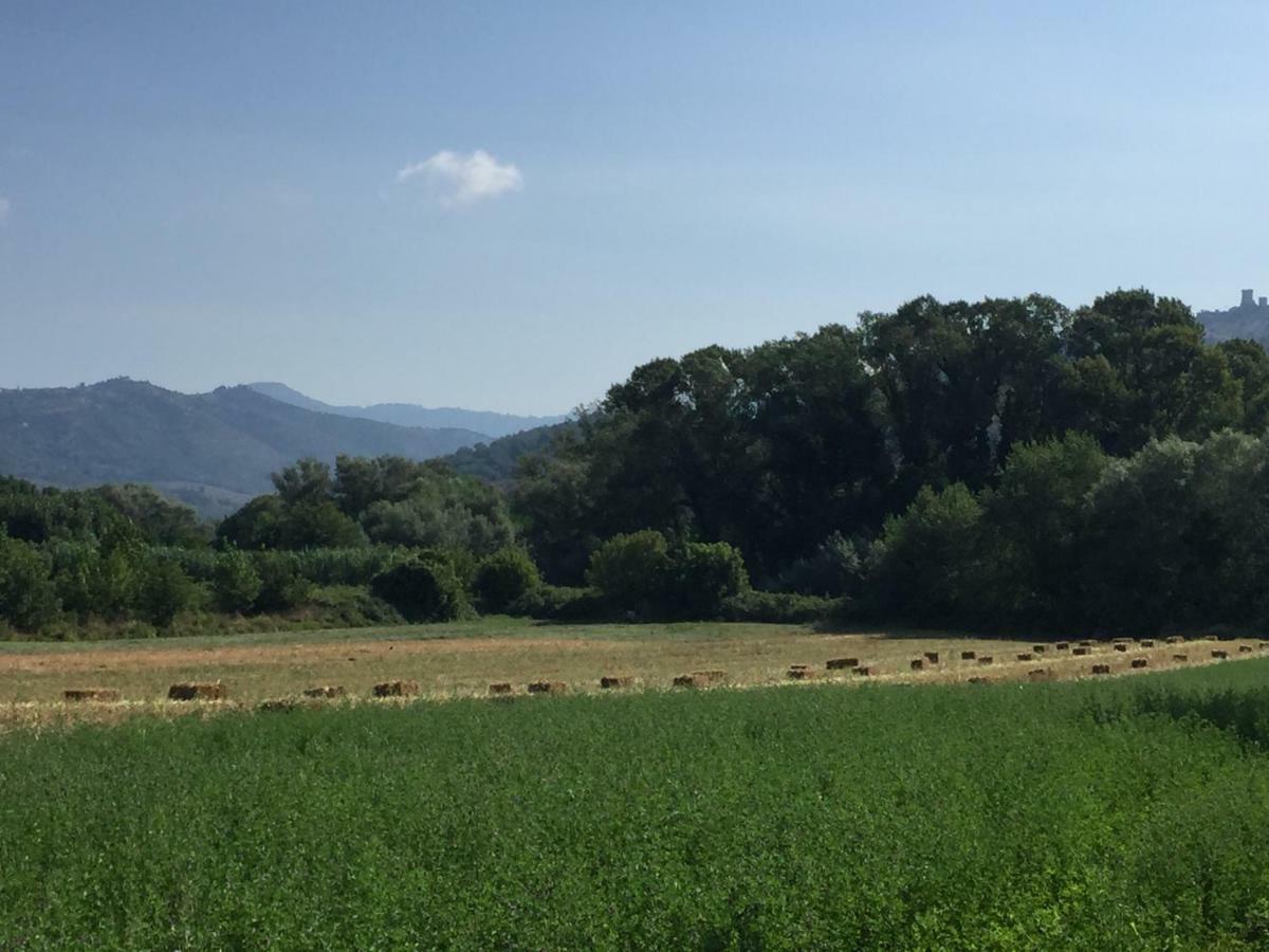 B&B La Nonnina Del Cilento Casal Velino Exteriör bild