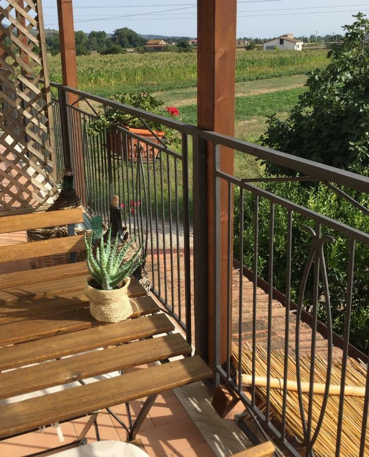 B&B La Nonnina Del Cilento Casal Velino Exteriör bild
