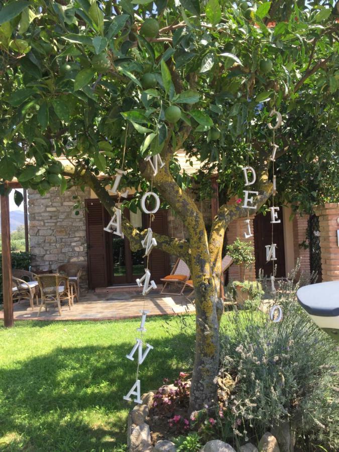 B&B La Nonnina Del Cilento Casal Velino Exteriör bild