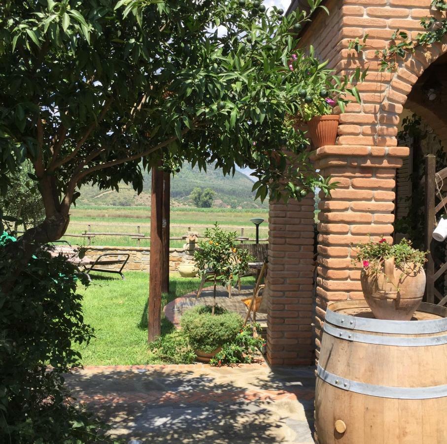 B&B La Nonnina Del Cilento Casal Velino Exteriör bild